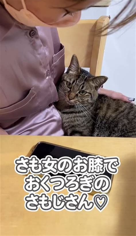 ママに抱っこされる赤ちゃんみたいな愛猫、移動させようとすると 「嫌よっ！」「嫌っ！」と訴える姿がほほ笑ましい ねとらぼ