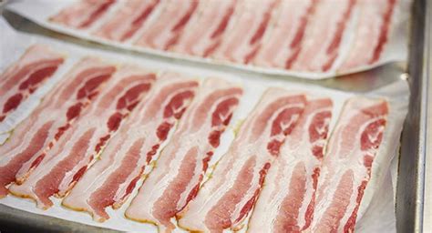 Hormel® Bacon 1™ Perfectly Cooked Bacon • Hormel Foodservice