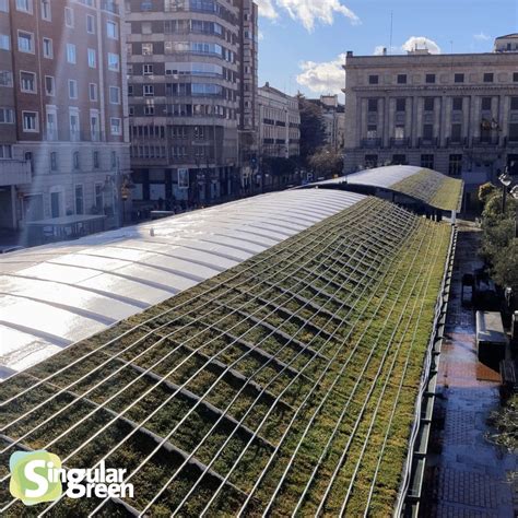 Cubierta Vegetal En Plaza Espa A Valladolid Urban Green Up