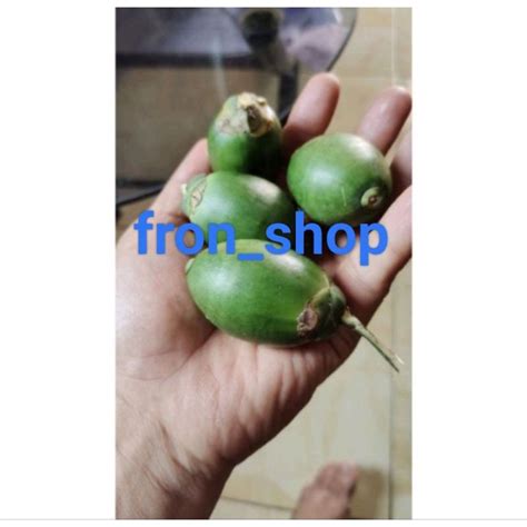 Jual Buah Pinang Muda Buah Jambe Segar Langsung Petik Kg Shopee