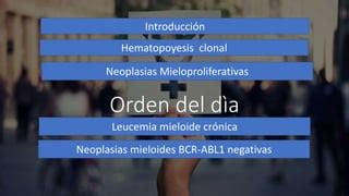 Neoplasias Mieloproliferativas Ppt Pptx