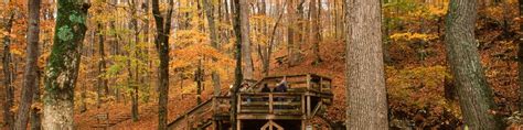 Mammoth Cave National Park - Wikitravel