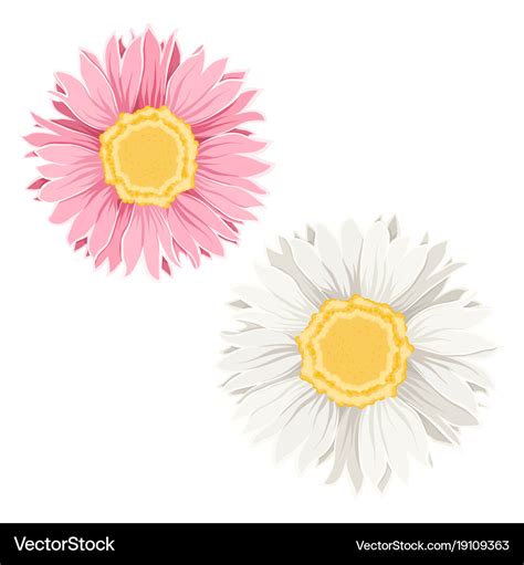 Yellow pink flowers Royalty Free Vector Image - VectorStock