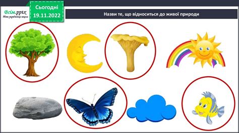 Я досліджую світ - презентация онлайн