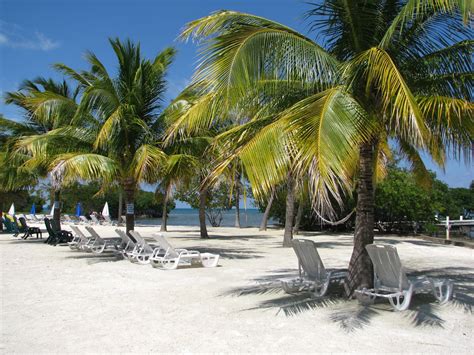 Spanish Lookout Caye Belize Spanish Lookout Favorite Places Belize