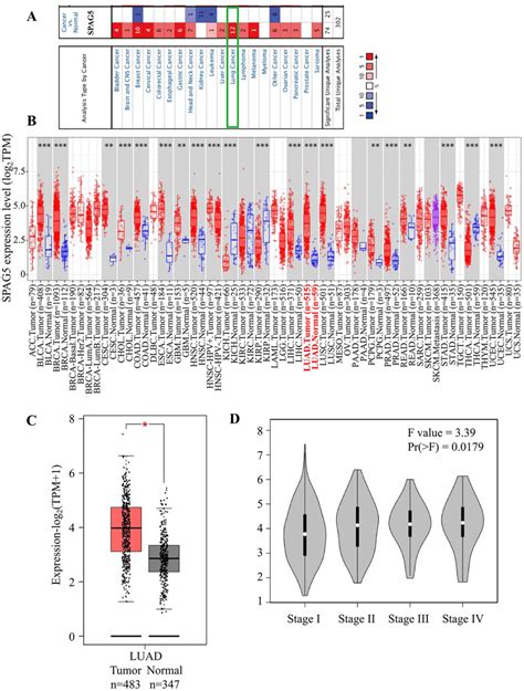 Expression Profile And Clinical Significance Of Spag In Luad A