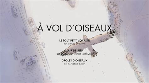 À vol d oiseaux 2023 Bande annonce HD YouTube