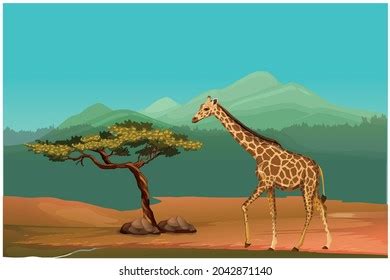 Giraffe -zarafa Concept Art Illustration Stock Vector (Royalty Free) 2042871140 | Shutterstock