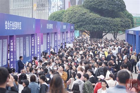 举办3000场招聘会、推出100万个岗位川渝携手共促两地劳动者就业 资讯频道 51网