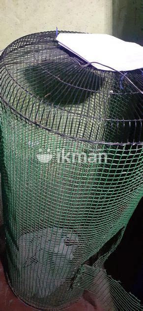 Birds Cage In Pilimatalawa Ikman