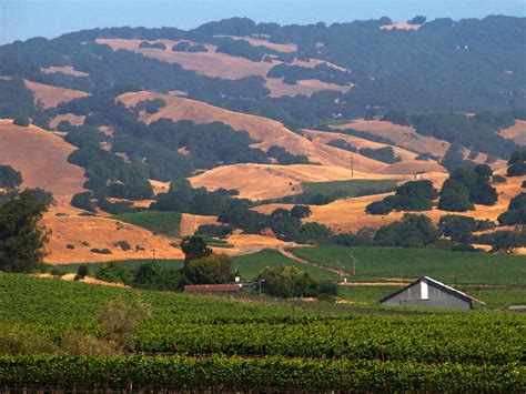 The Sonoma Valley Wine Region And Appellation Sonoma County Tourism