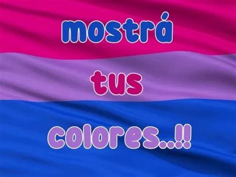 Banderas Lgbt Bisexual Grandes En Venta En Capital Federal Capital