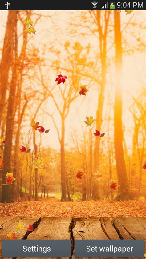 Falling Leaves Live Wallpaper APK for Android Download