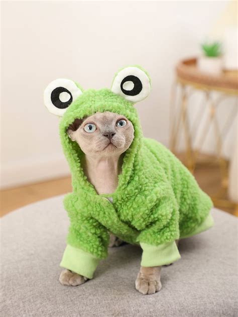 A Cat Dressed In A Frog Costume