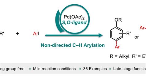 Efficient Synthesis Of Biaryl Scaffolds Through Smart Catalyst Design