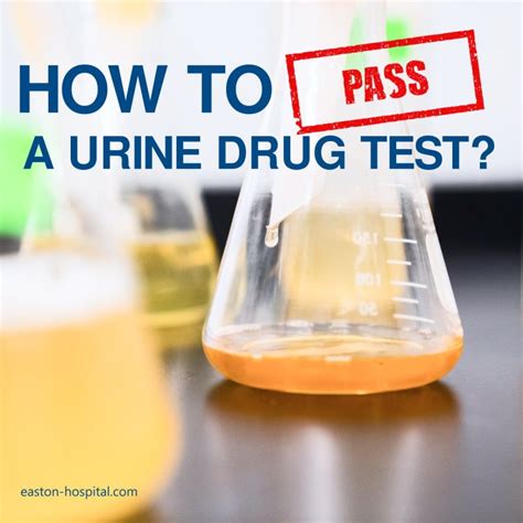 How To Pass A Urine Drug Test Best Tricks Detox Drinks And More