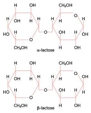 Lactose Line Structure