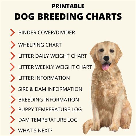 Basic Dog Breeder Charts Whelping Records Litter Records Breeder Planner Breeder Forms Bundle