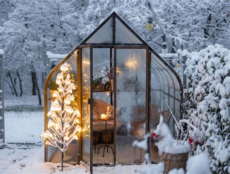 6 Winter Garden Ideas To Elevate Your Outdoor Space