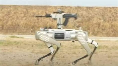 China unveils rifle-firing robot dog in joint military exercise with ...