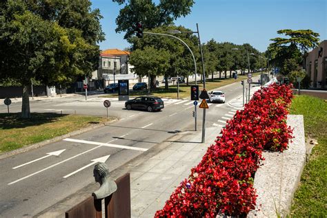 Dois Concorrentes Fornecem Autocarros E F Brica De Hidrog Nio Para O