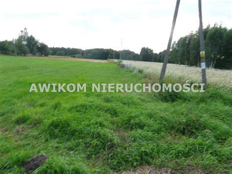 Sprzedam działkę Wólka Łasiecka 13300 m2 165000 PLN Domiporta pl