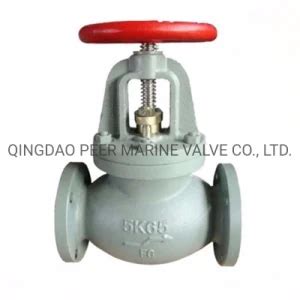 Jis F Cast Iron Screw Down Valve Globe Type Globe Check