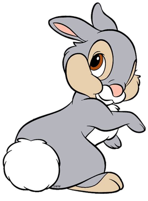 Bunny Tail Clipart Free Download On Clipartmag