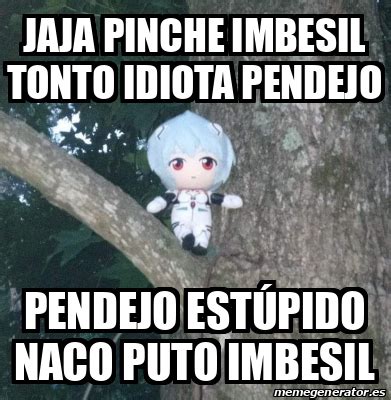 Meme Personalizado Jaja Pinche Imbesil Tonto Idiota Pendejo Pendejo