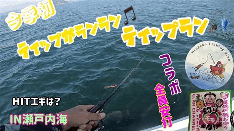 【開幕🦑】今季初ティップがランラン🎣ティップラン🦑【コラボ釣行】2023年瀬戸内海 Youtube