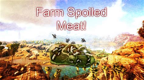 How To Farm Massive Amounts Of Spoiled Meat Ragnarok Ark Survival Evolved 7 Youtube