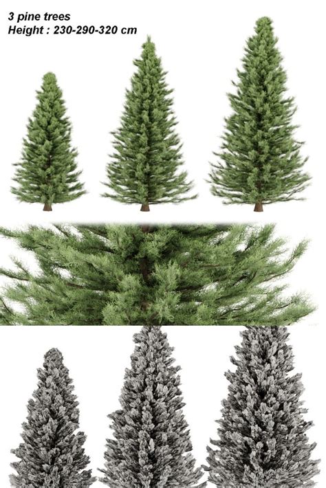 Artstation Pine Trees Collection Vol 22 Resources Tree Pine Tree Artwork