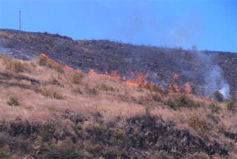 Incendios Destruyen 464 Hectáreas De Bosques En Honduras En 2019