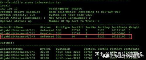 零基础入门网络，静态lacp链路捆绑详解，实现网络冗余负载 知乎