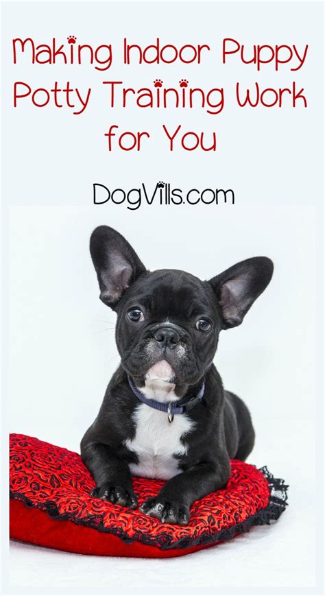 Making Indoor Puppy Potty Training Work for You - DogVills