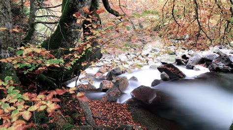 Cantabria – Spain's magical Mountains - Terra Mater Studios