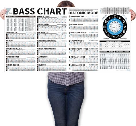 Poster Upright Bass Wall Chart For Double Bass Musical