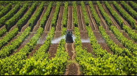 Curiosidades De La Agricultura En Colombia Tvagro Por Juan Gonzalo