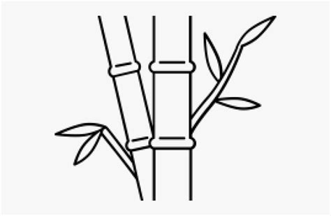 Drawn Bamboo Bamboo Stick - Line Art, HD Png Download , Transparent Png ...