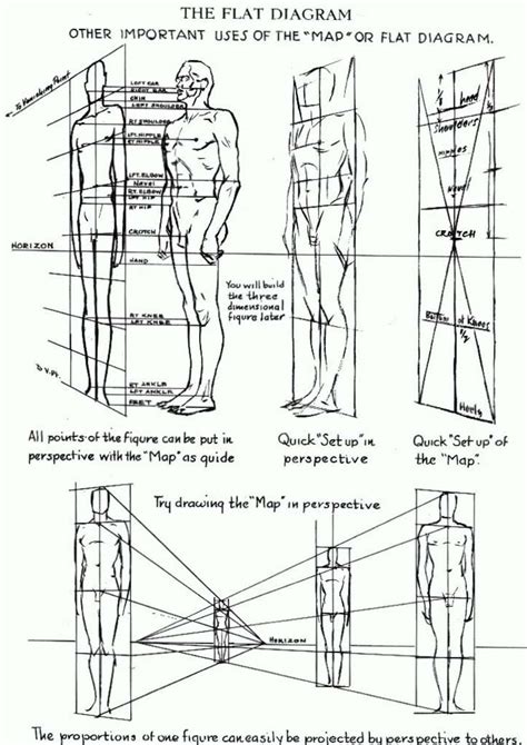 Proportions of the Human Figure : How to Draw the Human Figure in the ...