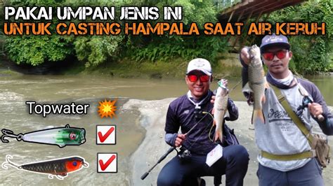 Umpan Topwater Pilihan Terbaik Untuk Casting Hampala Saat Air Keruh