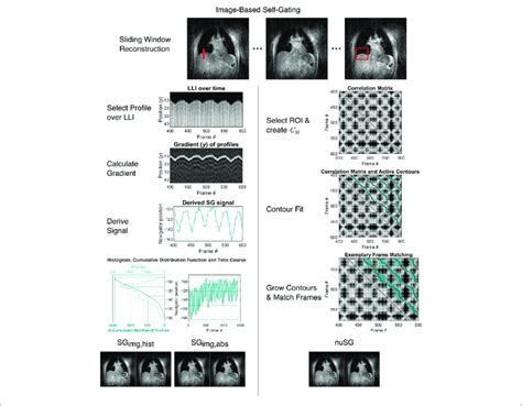 Overview Of The Image Based Self Gating Algorithms Classical And