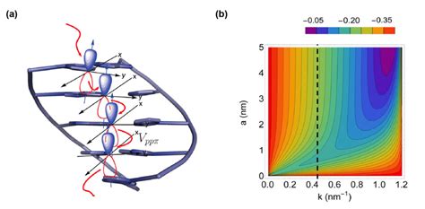 Spin Orbit Interaction And Spin Selectivity For Tunneling Electron