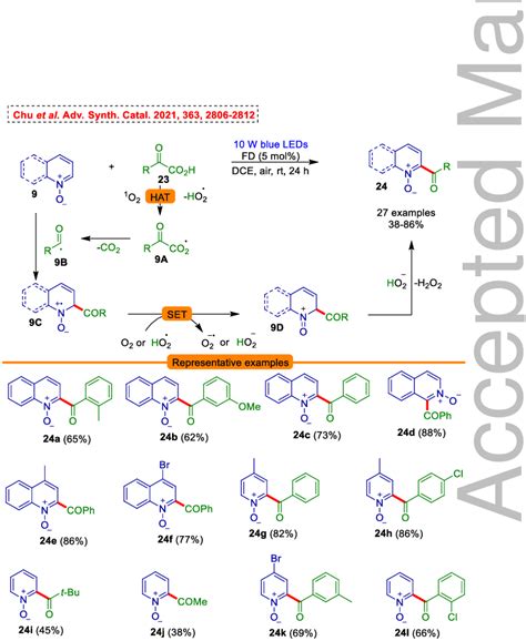 Scheme Visible Light Promoted C Arylation Of Pyridine And