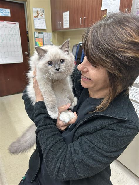 tuscan ridge animal hospital 9