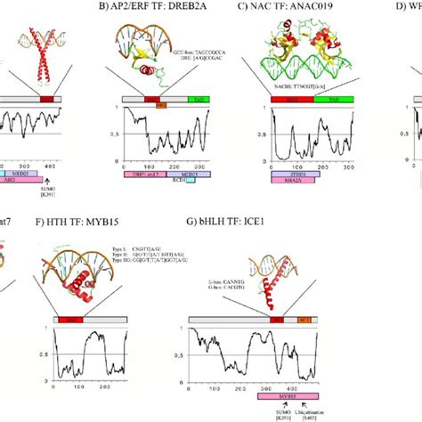 structure   studied members   bzip aperf nac wrky ch