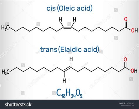 Oleic Acid Cis And Elaidic Acid Trans Royalty Free Stock Vector