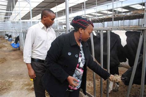 Modern Dairy Farm