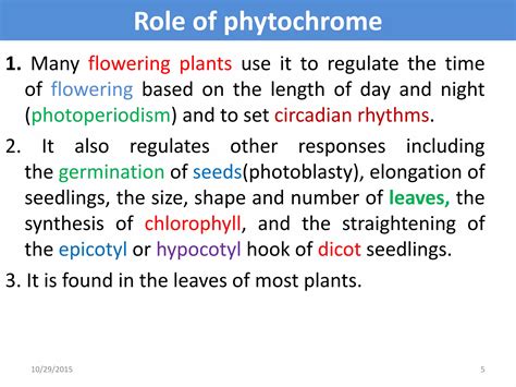 phytochrome pptx