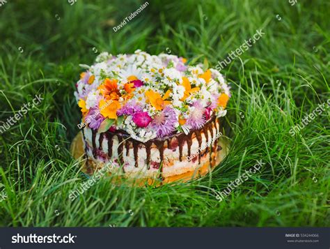 Naked Cake Decorated Flowers On Grass Stock Photo Edit Now